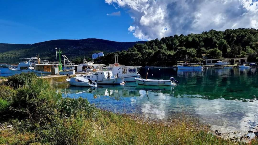 Apartment Neo Rukavac (Vis)